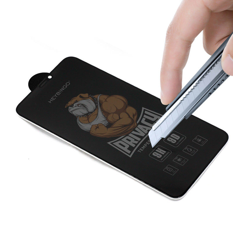 9H Phone Tempered Glass Privacy Anti Shock Anti Explosion